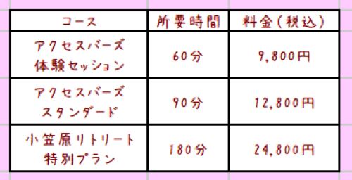 小笠原アクセスバーズ料金表